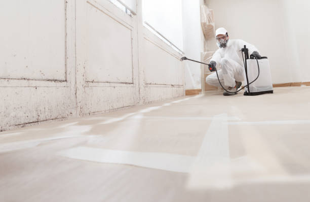24/7 Emergency Mold Testing experts in Sparta, TN
