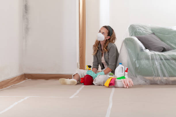 Reliable Mold Testing contractor in Sparta, TN by WQB Mold Removal