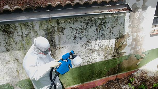 Top rated local Mold Testing specialists in Sparta, TN
